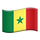 🇸🇳