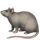 🐀